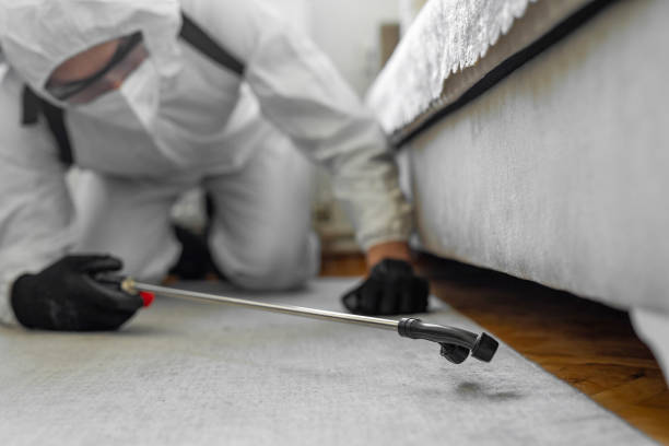 Professional Termite Control technician working in Midway, NC