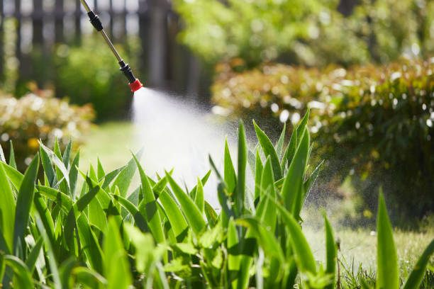 24/7 Emergency Termite Control experts in Midway, NC