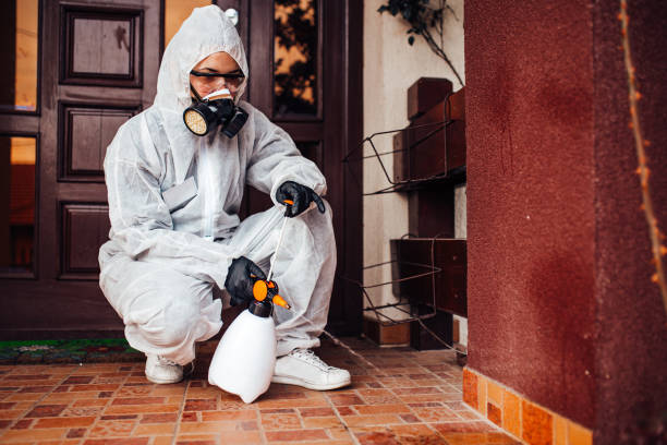 Reliable Termite Control contractor in Midway, NC by Nex Pest Control